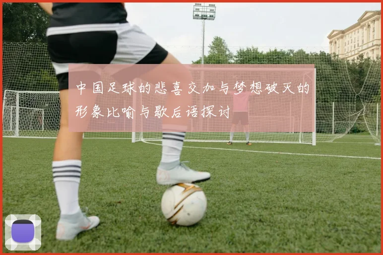 中国足球的悲喜交加与梦想破灭的形象比喻与歇后语探讨